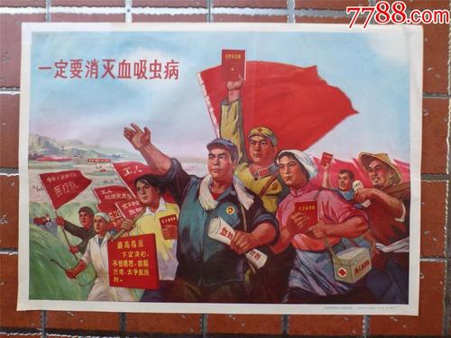 西蒙佛蕾泽大学证书